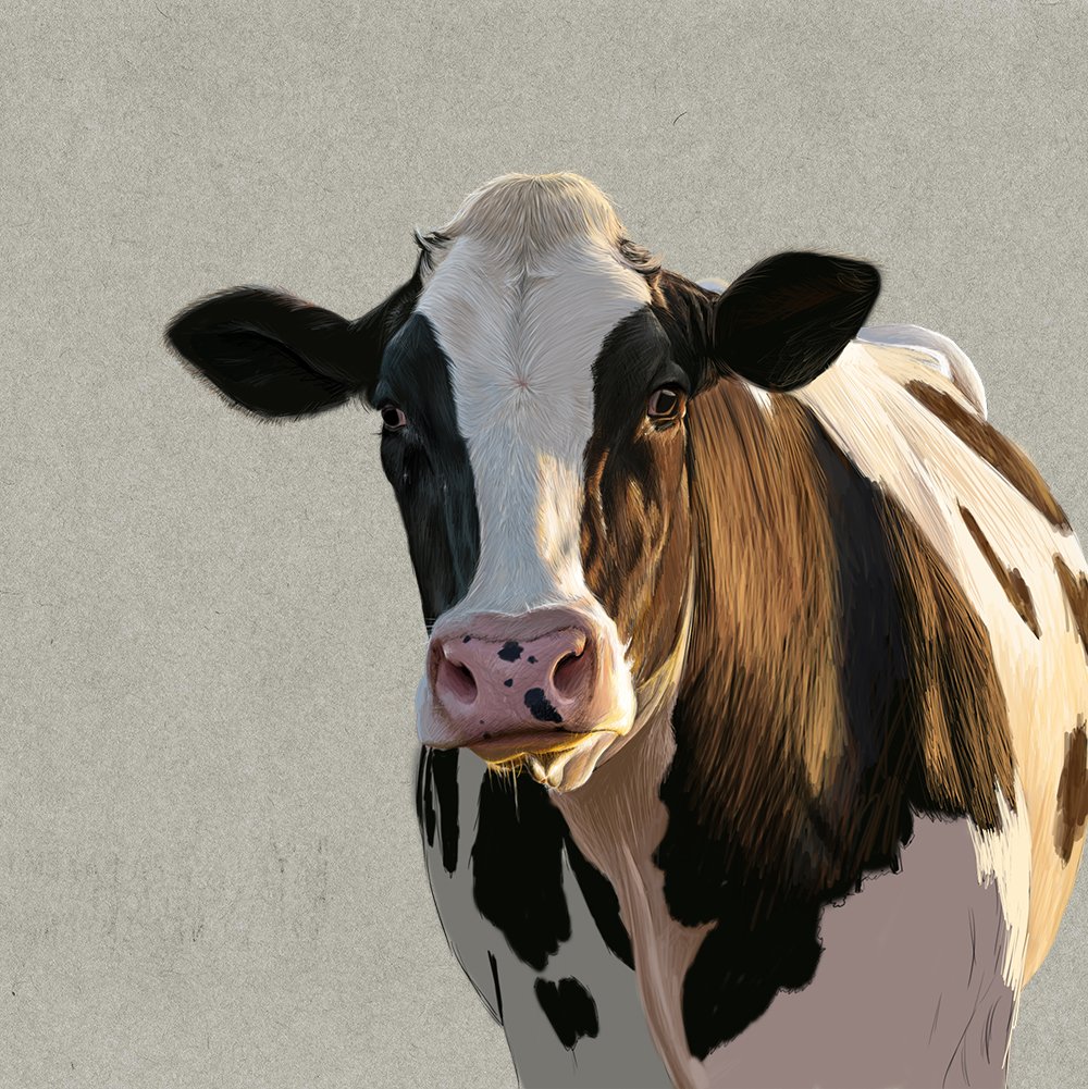 Vegan Creature tweet media