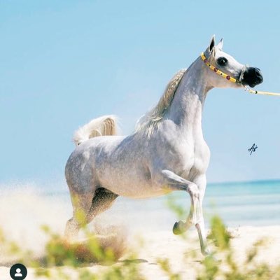 asd300asd's tweet photo. #صورة_جديدة_للملف_الشخصي https://t.co/YblajJBOyd