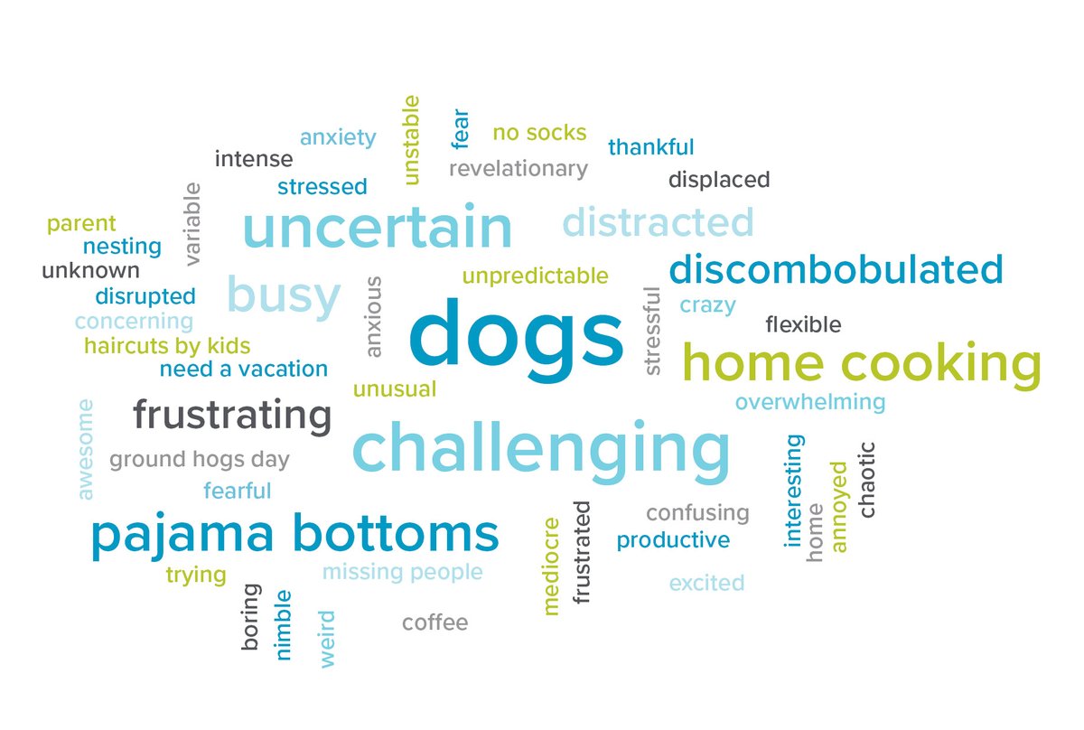 LREwater's tweet photo. We asked our staff to describe the past few months in one word. Here's a word cloud of everyone's anonymous responses. The past 6 months have been full of stress and disruption, but we are proud of our incredible staff's dedication and flexibility during an ongoing pandemic. https://t.co/57HVbYbkdE