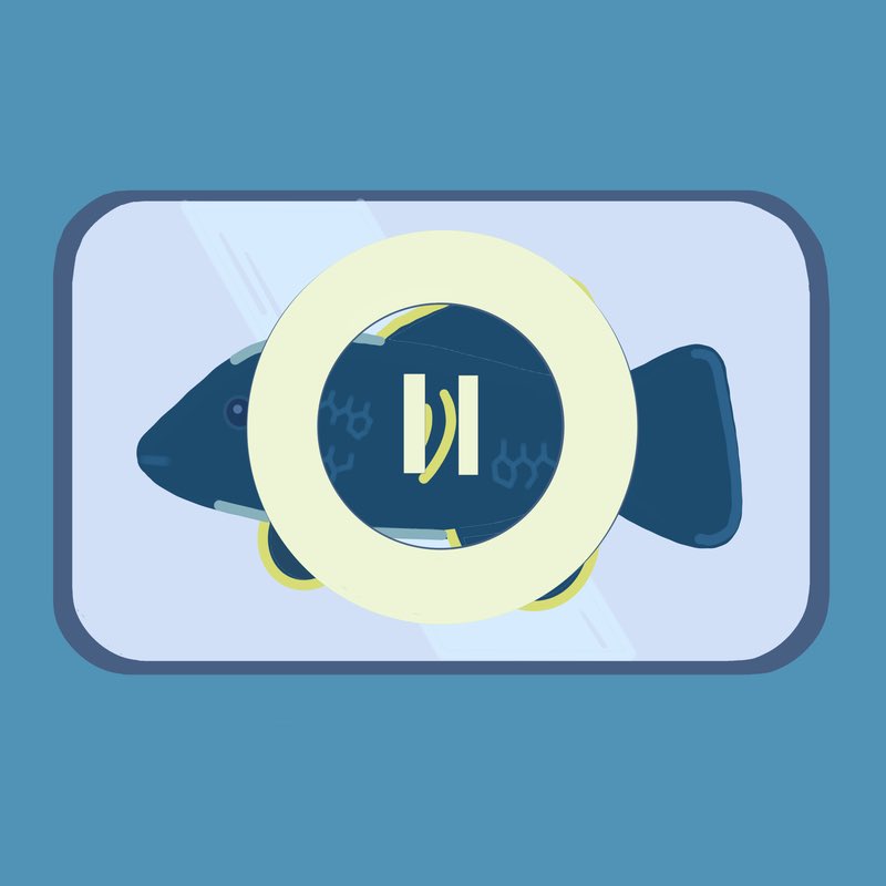 Check out our new review here: bit.ly/AfricaFish. This review is on Science News’ article describing a study done on diapause in African turquoise killifish. Review by El Roz and Kukolj. Score: 5/5. #science #news #reviews #scifeye #study #research #fish #Africa