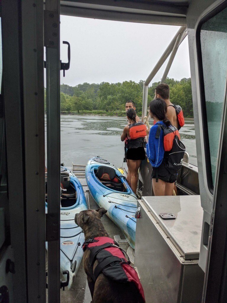 DCPoliceDept's tweet photo. MPD’s Harbor Patrol canvassed the Potomac River for distressed kayakers and boaters during today’s storm. We rescued 4 individuals and 3 dogs, safely bringing them to shore!

We are #HereToHelp https://t.co/pw79BJkf20