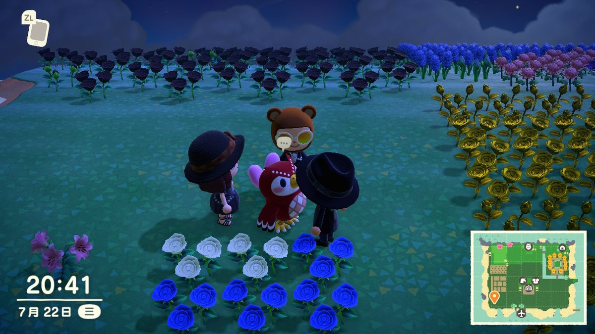 CcGbe's tweet photo. #动物森友会 #AnimalCrossing #ACNH #NintendoSwitch https://t.co/OcV64wpII1