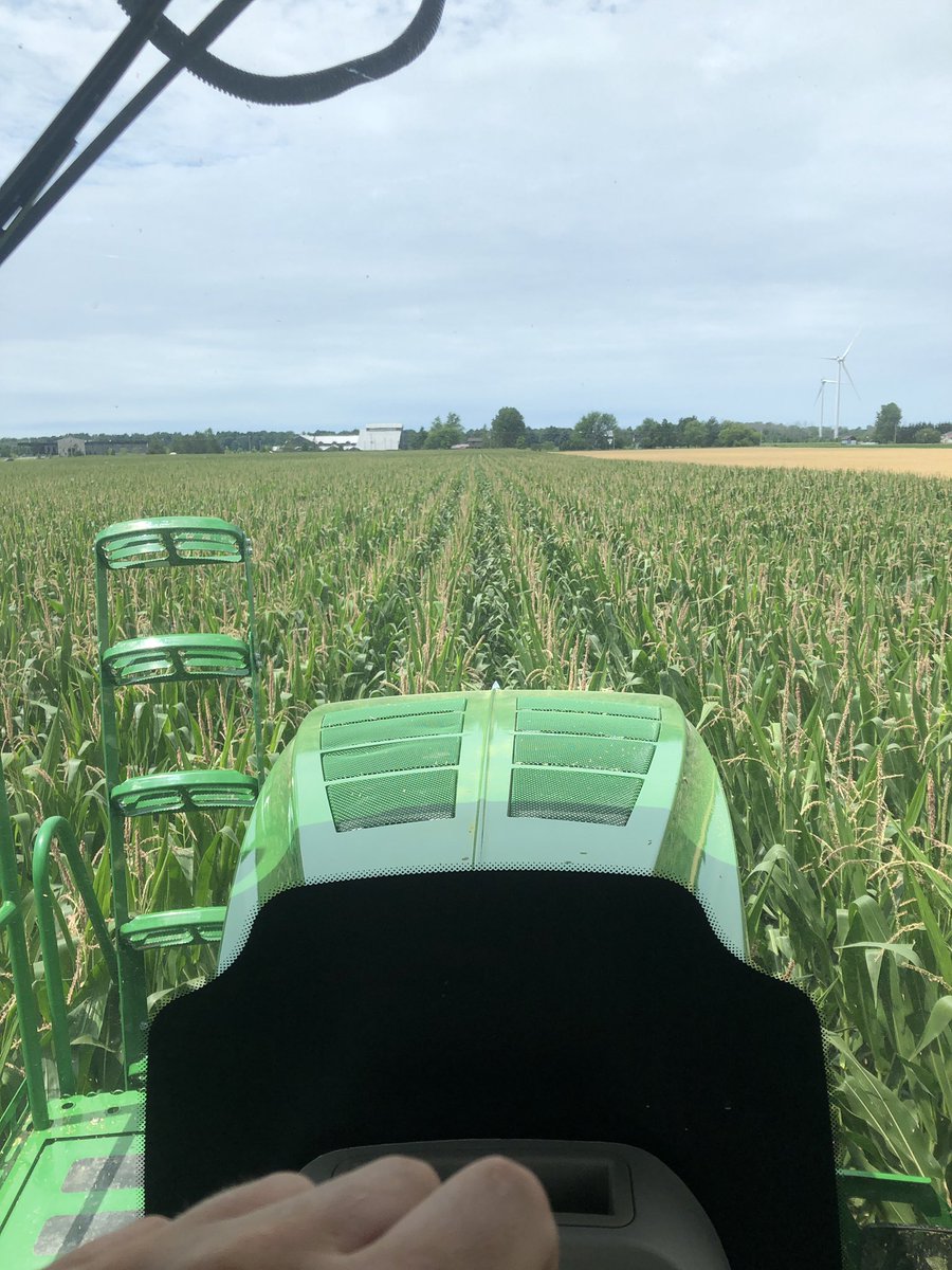 McLachlan10's tweet photo. Started Fungicide on corn 🌽 in Huron County. First fungicide season for the Deere at Hensall Co-op Greenway. https://t.co/OCueAQxEiE