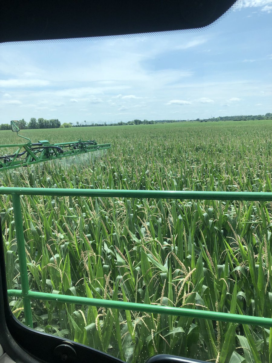 McLachlan10's tweet photo. Started Fungicide on corn 🌽 in Huron County. First fungicide season for the Deere at Hensall Co-op Greenway. https://t.co/OCueAQxEiE
