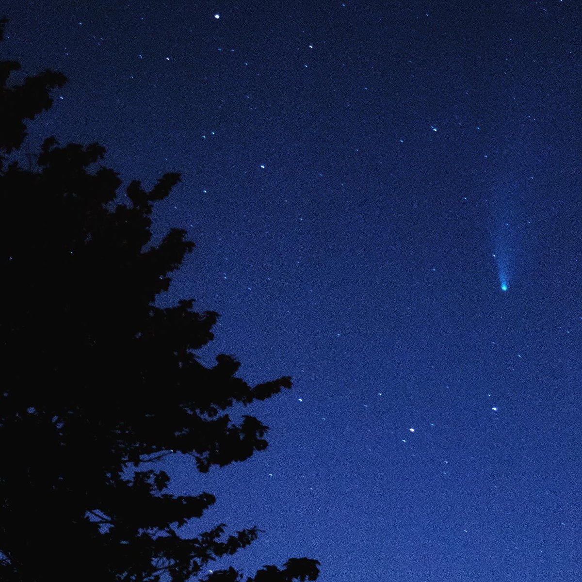 MathLOFF's tweet image. Une certaine beauté naturelle. 💫👇🏻#Neowise #NeowiseComet #comète 

📸 | instagram.com/p/CC9ik-vnesq/…