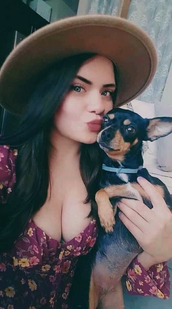 EricaMorgan3's tweet photo. Unconditional love. #chihuahua https://t.co/XEiJDNdG8v