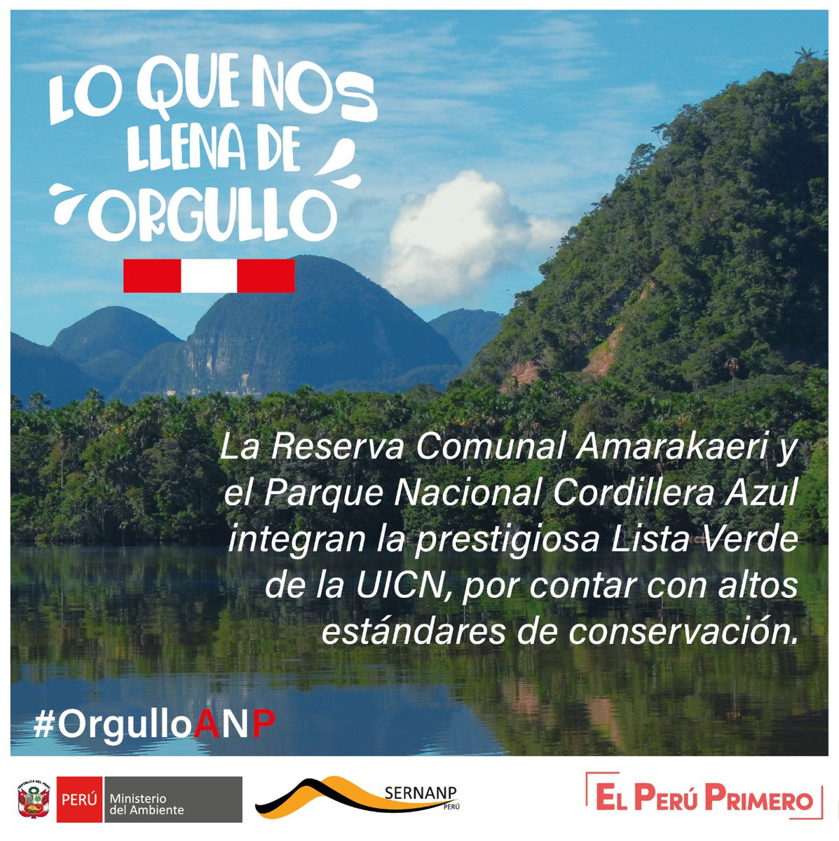 SERNANP's tweet photo. 🙌 #OrgulloANP es la conservación de nuestras ANP, 2 de ellas reconocidas con altos estándares a nivel mundial.🌳🐦
✅Este año se busca el reconocimiento de 4 más: Parque Nacional del Río Abiseo, Reserva Nacional Matses, Reserva Comunal Machiguenga y Santuario Nacional Megantoni. https://t.co/EiL0830ogq