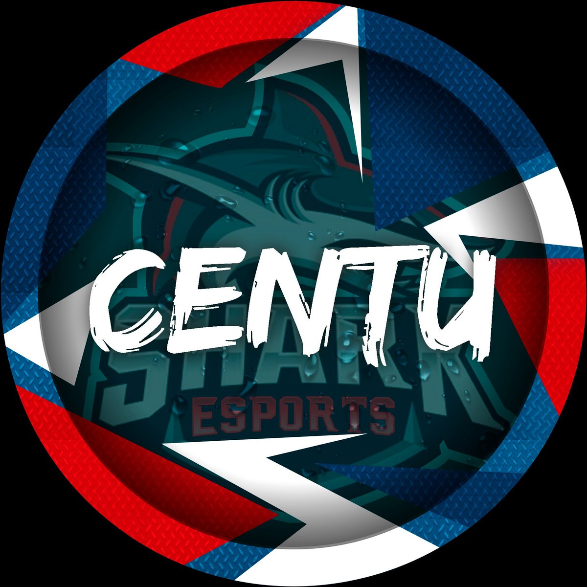 CentuPaii's tweet photo. #NuevaFotoDePerfil https://t.co/5HwJfSr3VI