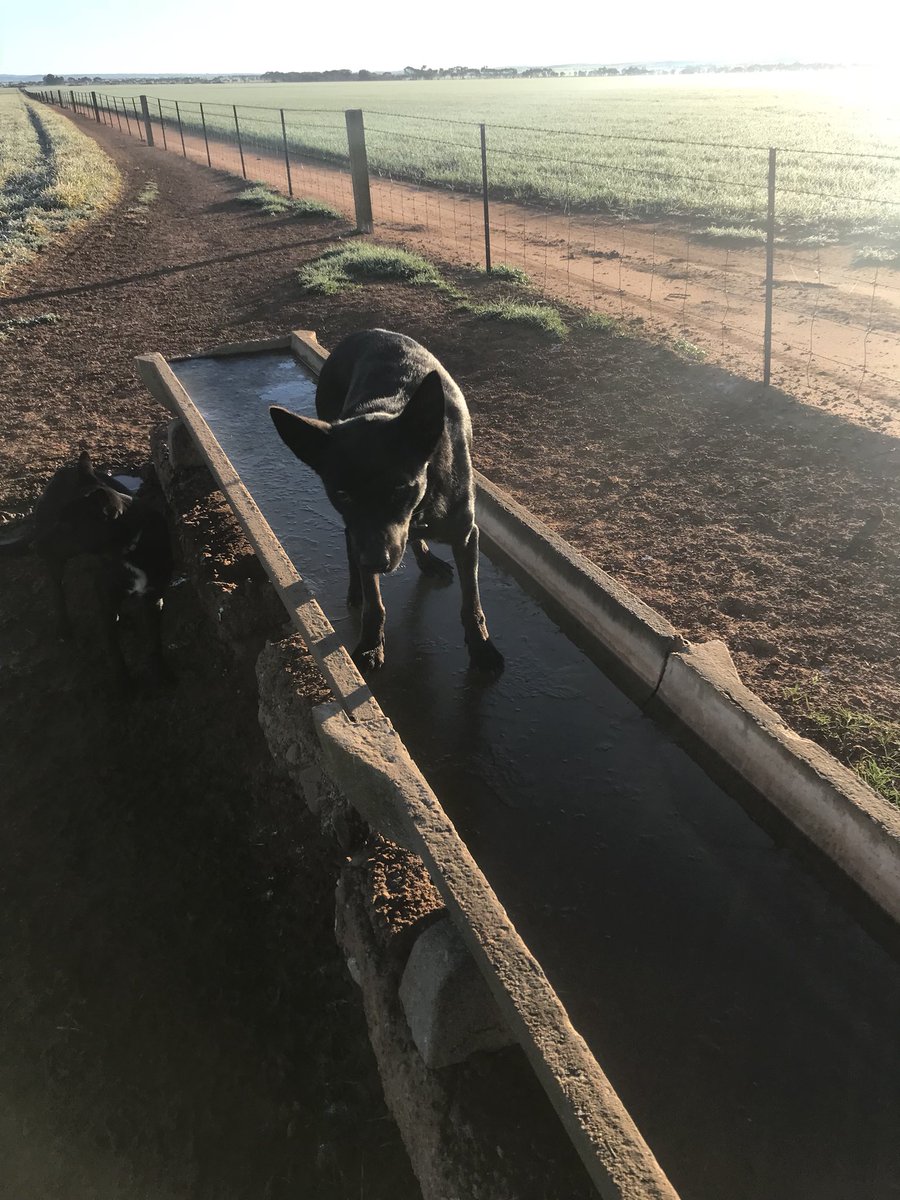 Rob Price tweet media