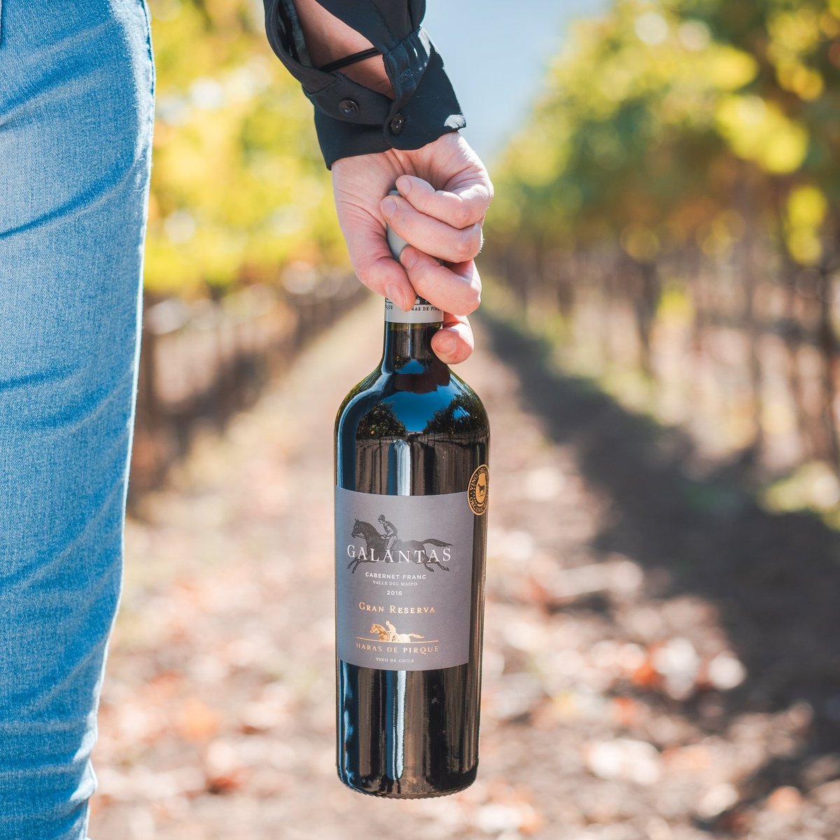 Galantas  Cabernet Franc                                               Virtud y rebeldía | Virtue and rebelliousness. #Vinaharasdepirque #Cabernetfranc #Organicwines