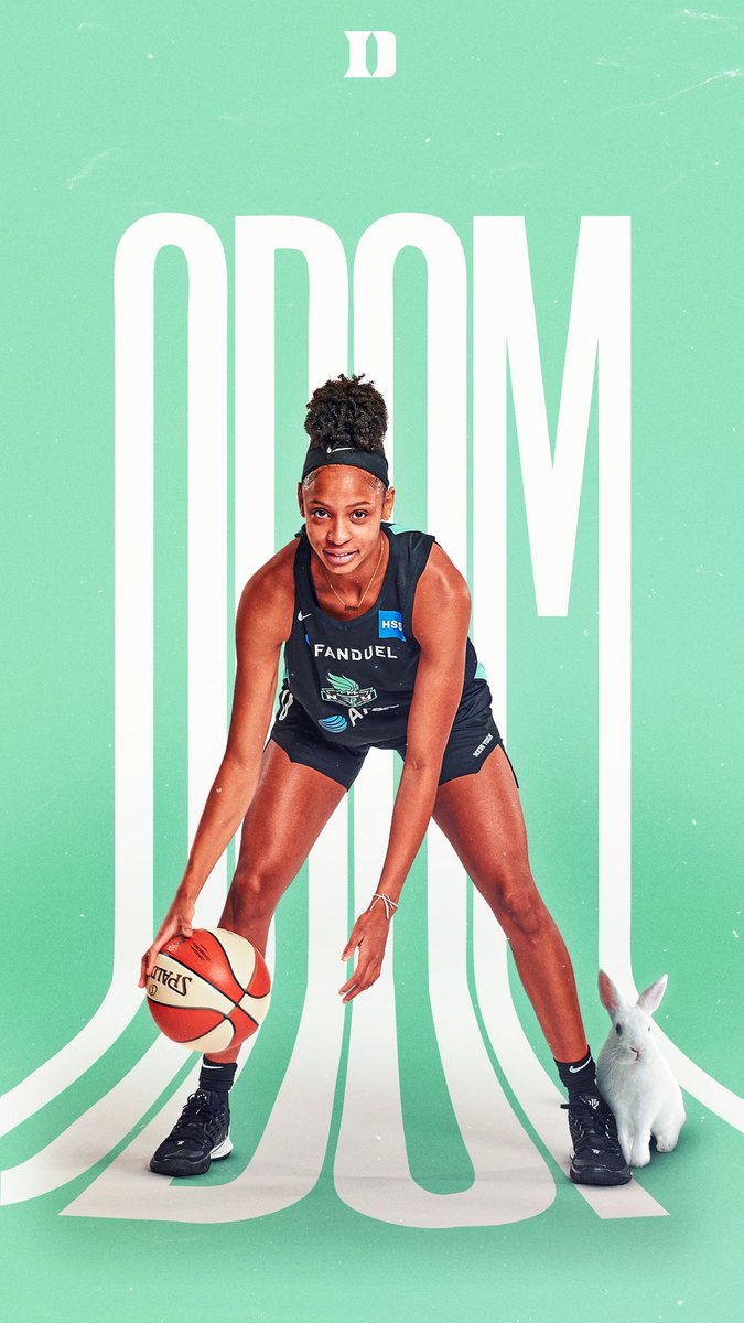 Fresh wallpaper for you 🐰❄️🔵😈

#DukeintheWNBA <a href="/nyliberty/">New York Liberty</a> 🗽