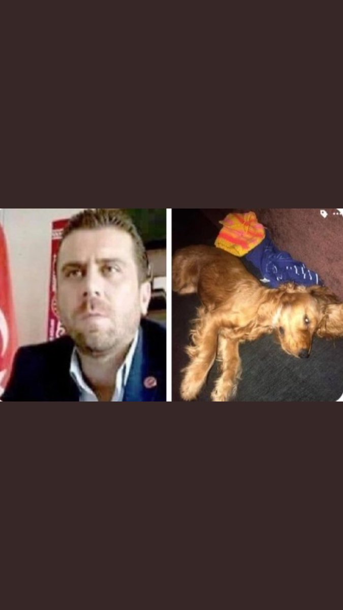 Bsrtht's tweet photo. Kısasa kısas cezası da gelmeli. 
Artık midem bulanıyor. Bu kadarı da olamaz dediğimiz ne varsa oldu. Olmaya da devam ediyor. Son bulsun artık. Kaldıramıyorum.
#VOLKANUZUNTUTUKLANSIN 
#volkanuzunkatildir 
#VolkanUzunTutuklansın https://t.co/XcRBGGDDsv
