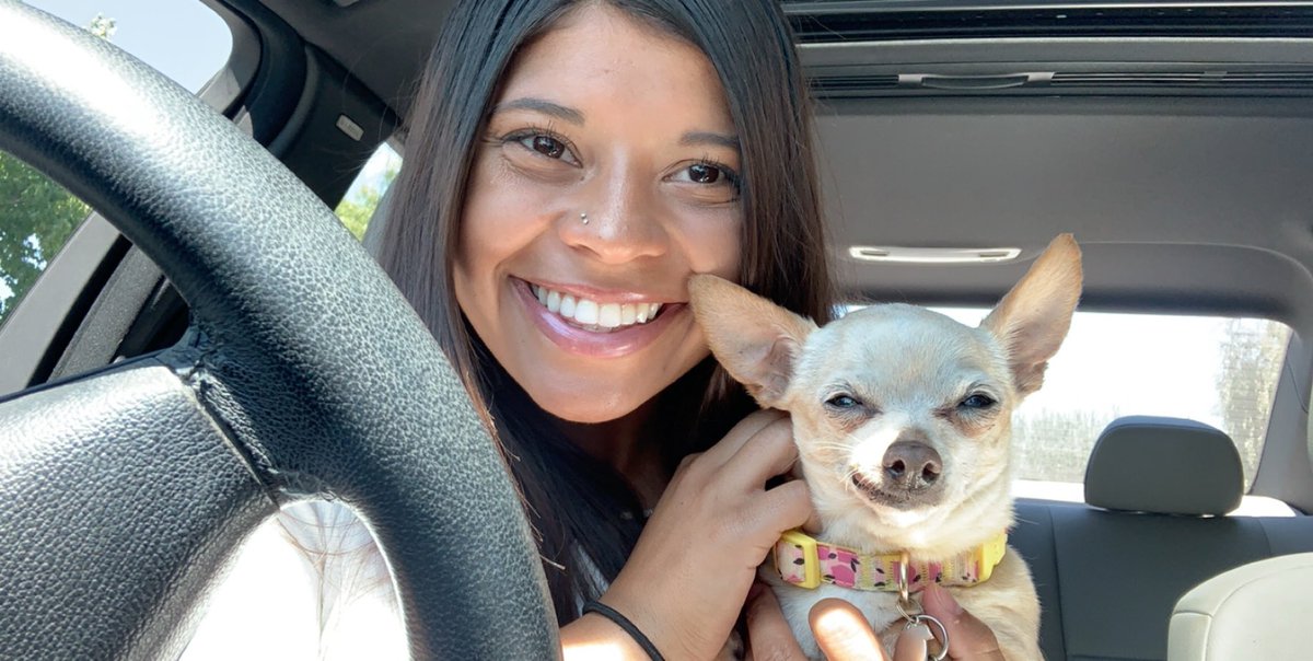 dadikmarby's tweet photo. Bella &amp; I went to the vet today &amp; they told me they had 3 different doctors check &amp; she DOESN’T have a heart murmur &amp; that her heart is perfectly healthy &amp; SHE IS THE HEALTHIEST OLD CHIHUAHUA THEY HAVE EVER SEEN🙌🏽🙌🏽🙌🏽 #mybestgirl #heathygirl https://t.co/3J9nrDvIXP