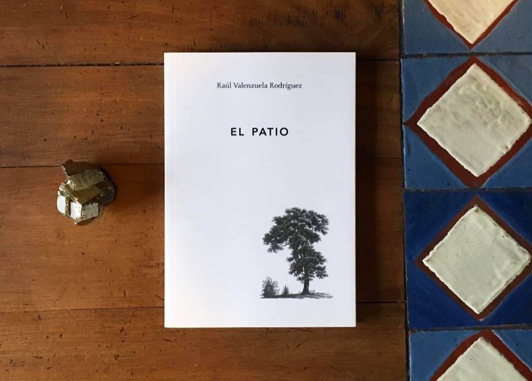 🔹🔸«El Patio»  de Raúl Valenzuela Rodríguez 🔸🔹

🔪$5.000 por venta directa (consultas por dm o a nuestro whastapp +56 33 225 3569)