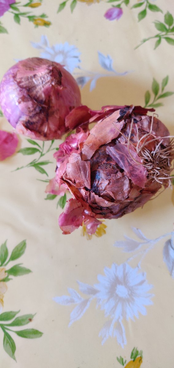 #Jiomart supplied #rottenonions to my first online order with Jio thinking being a big player will b efficient. Inspite of complains it is not resolved except sending std messages asking for images of the product. Be cautioys with Jio, other players r far better.