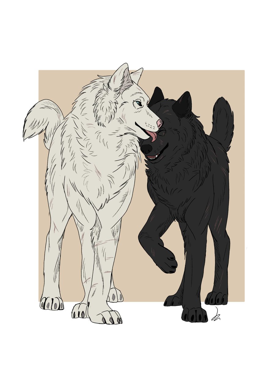 MelonConVinagre's tweet photo. Zika y Whisper <3

#animewolves #wolvesart #originalcharacter #digitalart #furryferal #wolves https://t.co/0I63UvRR6E