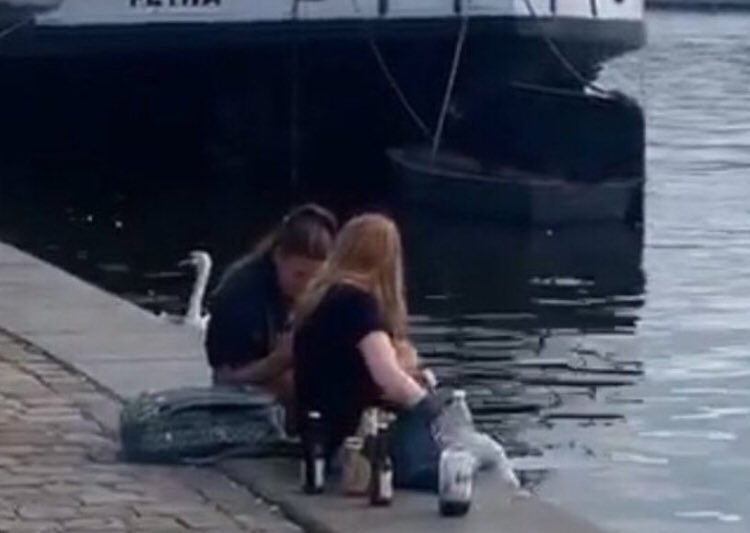 Bak eminim aynı şekilde Sercan’ın bir fotosu çıksaydı "Sercan içki içiyor" linci yiyecektik. Adım kadar eminim... 

Biz çok güzel bir fandomuz böyle alçak insanlar değiliz sizi seviyorum gelin kucaklaşalım #syfc :*)