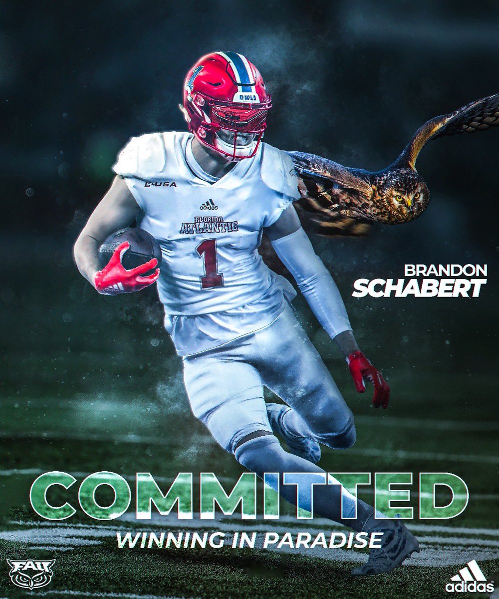 Brandon Schabert tweet media