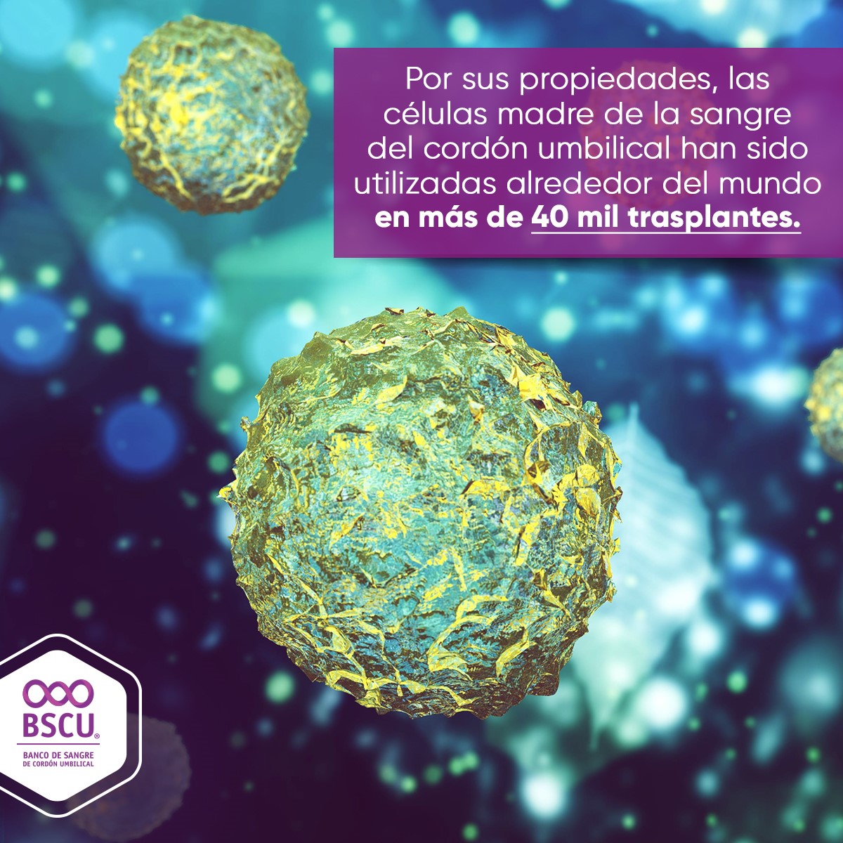 BSCUMEX's tweet photo. Contar con las células madre de tu bebé es contar con una posibilidad de vida en caso de presentarse alguna enfermedad grave. BSCU es la opción inteligente y brinda tranquilidad para toda tu familia. ¡Contáctanos! Consulta a tu médico. https://t.co/MAQpWZYk5y