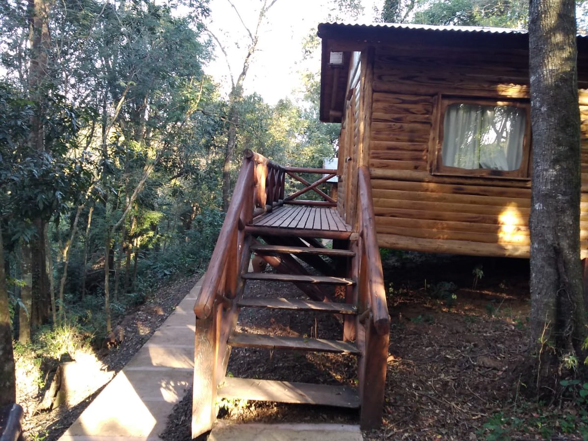 Comisión Directiva <a href="/udpm_misiones/">UDPM</a> de recorrida por Complejos Lodges, poniendo todo en condiciónes, adoptando todas las medidas de bioseguridad necesarias en tiempos de pandemia ..volveremos pronto y seguro mejores! <a href="/Gabriel60089242/">Gabriel Vega</a> <a href="/fabianchilipank/">Fabian Chilipanka</a> <a href="/Marcos42866602/">Marcos Caballero</a> <a href="/marcenilsson/">⬅️marcenilsson</a>