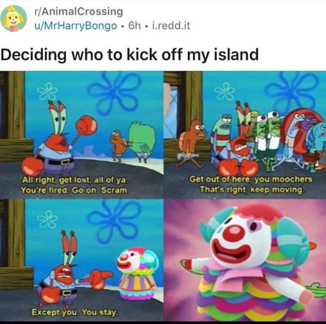 Hailey_Jaded's tweet photo. Pietro really had the audacity to ask me if he could move out yesterday 😤 #ACNH #AnimalCrossingNewHorizons #AnimalCrossing https://t.co/ahJcGxBOQ6