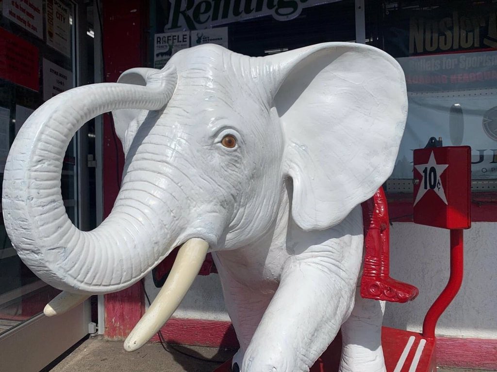 Spokane Parks Rec On Twitter The White Elephant S Iconic Elephant Isidore Won T Be Giving Its Last Ride Anytime Soon We Re Pleased To Announce That The Family Owners Of The White Elephant