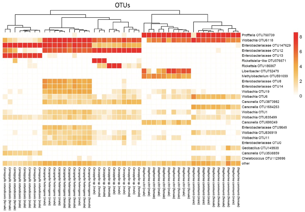 Markus Riegler (@riegler_markus) on Twitter photo new paper about bacterial communities of 5 psyllid species associated with Citrus and related plants of Rutaceae in Bhutan, by Jen Morrow & team <a href="/westsyduhie/">Western Sydney U - HIE</a> <a href="/westernsydneyu/">Western Sydney University</a> @nswdpi
bmcmicrobiol.biomedcentral.com/articles/10.11… new paper about bacterial communities of 5 psyllid species associated with Citrus and related plants of Rutaceae in Bhutan, by Jen Morrow & team <a href="/westsyduhie/">Western Sydney U - HIE</a> <a href="/westernsydneyu/">Western Sydney University</a> @nswdpi
bmcmicrobiol.biomedcentral.com/articles/10.11…