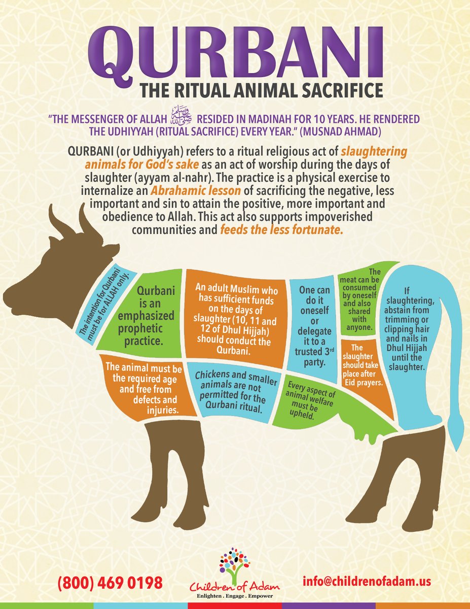 CoAGlobal's tweet photo. Eid ul Adha is just days away! Here's how to do #Qurbani/ #Udhiyah with #ChildrenOfAdam https://t.co/ot7DFbf13U