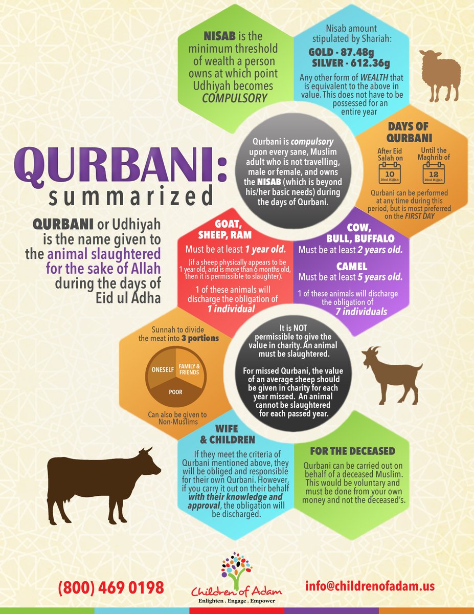 CoAGlobal's tweet photo. Eid ul Adha is just days away! Here's how to do #Qurbani/ #Udhiyah with #ChildrenOfAdam https://t.co/ot7DFbf13U