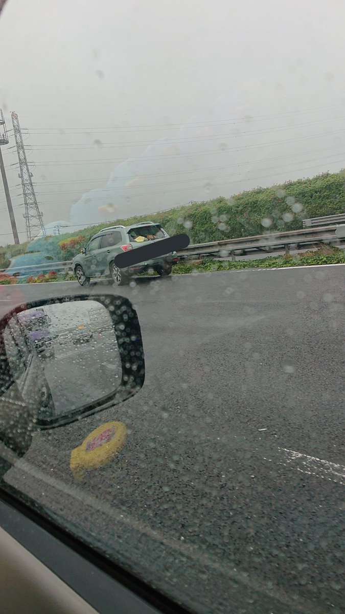 東北自動車道の最新事故情報 227ページ目 今日現在 リアルタイム情報 ナウティス 東北自動車道の最新事故情報 227ページ目 今日現在 リアルタイム情報 ナウティス