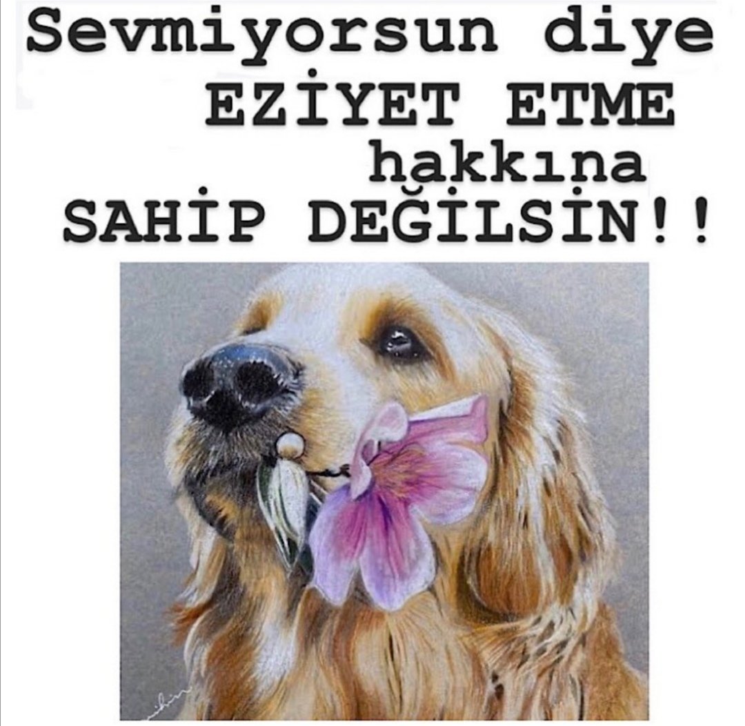 ardagurbuzdal's tweet photo. #volkanuzuntutuklansin https://t.co/VItAu8iVru