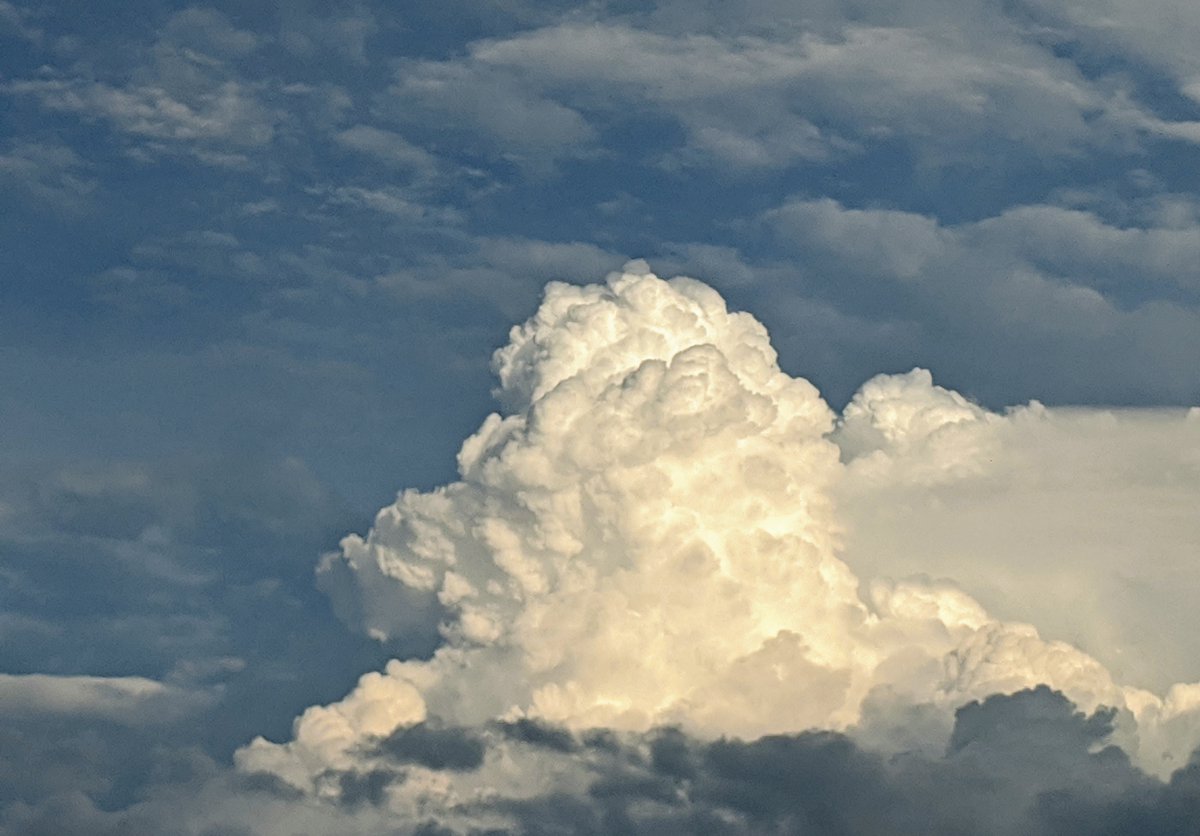 South Carolina Ladies 1st tweet media