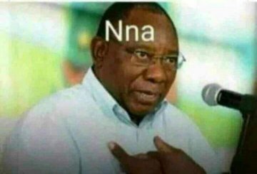 Minora247's tweet photo. Headline: #RamaphosaResigns
Cyril when he wakes up: https://t.co/awNITJebHP