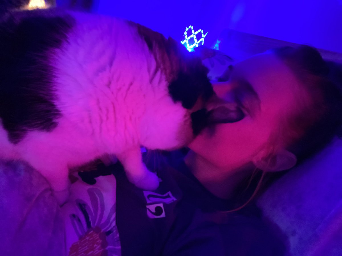 BeccaKaye43's tweet photo. This year has been extremely challenging and a bit heart breaking for me but this giant emotional support cat has been through it with me every step of the way. Thanks G your the real queen. https://t.co/YMEr7RR0wQ
