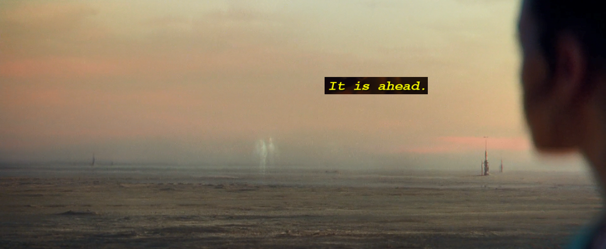 She may have been a Palpatine by blood, but she was a Skywalker by heart. Rey Skywalker had finally found the belonging she sought.