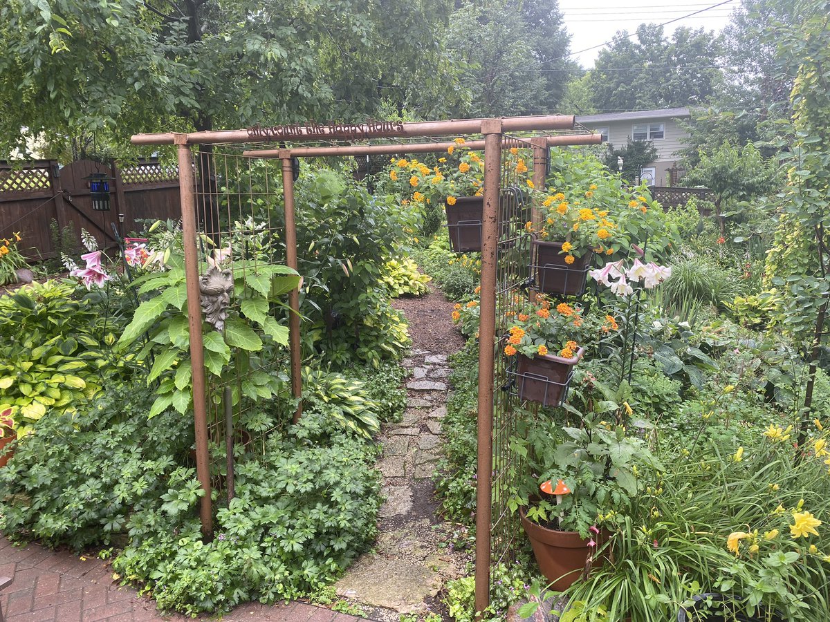DigitalXDruid's tweet photo. Enjoying the scented “garden room” I created with my lilies over the years https://t.co/jMnv5qTcOD