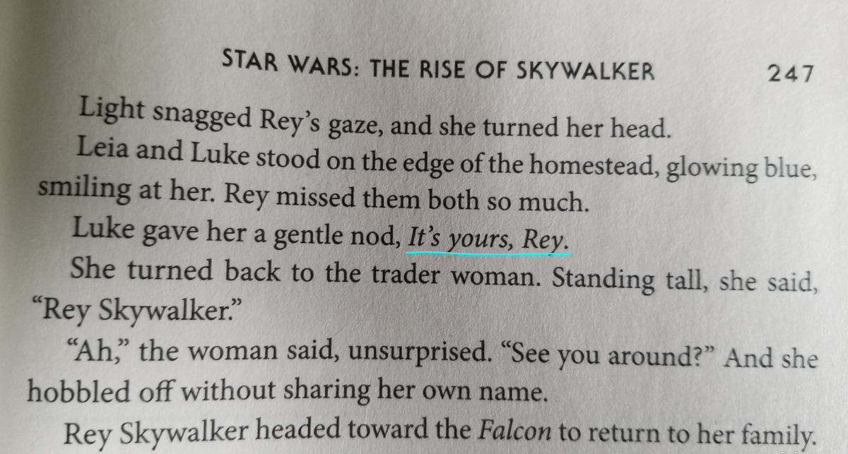 She may have been a Palpatine by blood, but she was a Skywalker by heart. Rey Skywalker had finally found the belonging she sought.