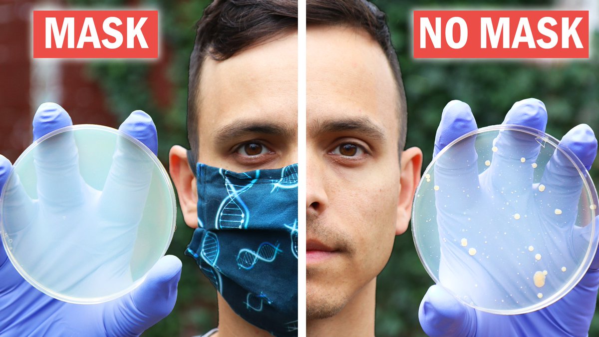 AsapSCIENCE's tweet photo. We tried the mask/no mask experiment to see how many germs would grow on a petri dish from our respiratory droplets. Talking, singing, coughing, sneezing - turns out masks work, and REALLY well. 

To see our full results, check out the video https://t.co/GulPvkR0NC https://t.co/ifY3uVx8Qn