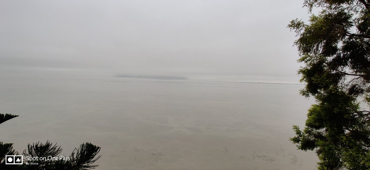 annaverma's tweet photo. #brahmaputra you're loved beyond measure ππ
#earlymorningphoto
#lifebytheriver
#TREASURE https://t.co/S4Zexrr8JL