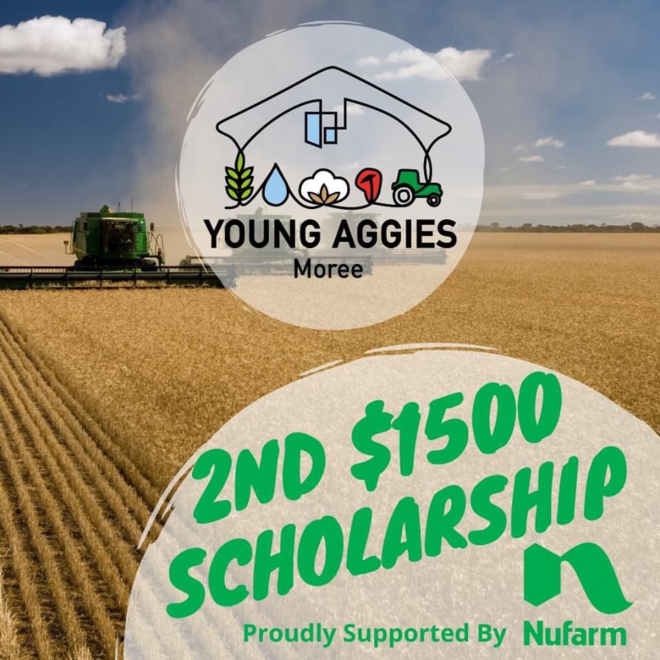 Young Aggies Moree tweet media