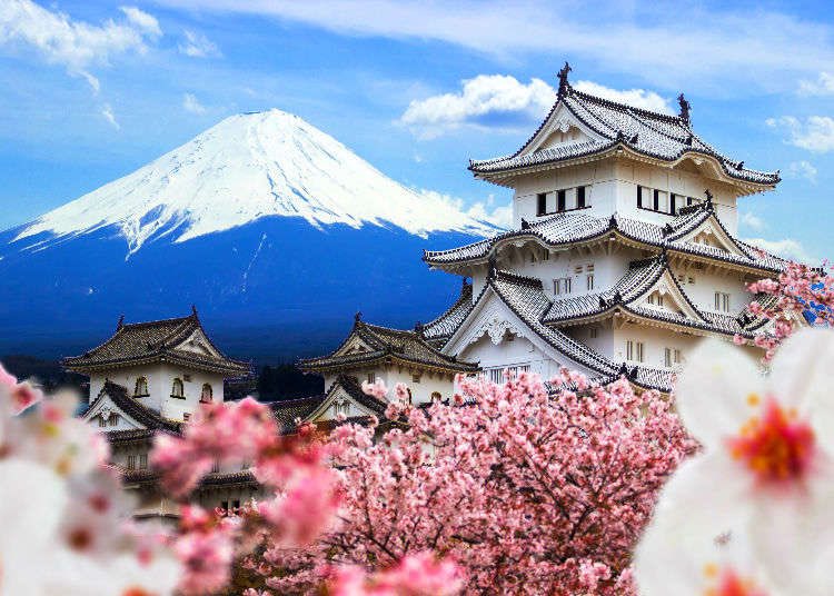 cefields2911's tweet photo. Today We Visited Japan! 🛳👘⛩🎎🎏💮 @SailAway_AISD @SailAway_AISD @RosalindBurns9 @Vines_AISD #SailingWithPrimary https://t.co/HhAZHhH7je