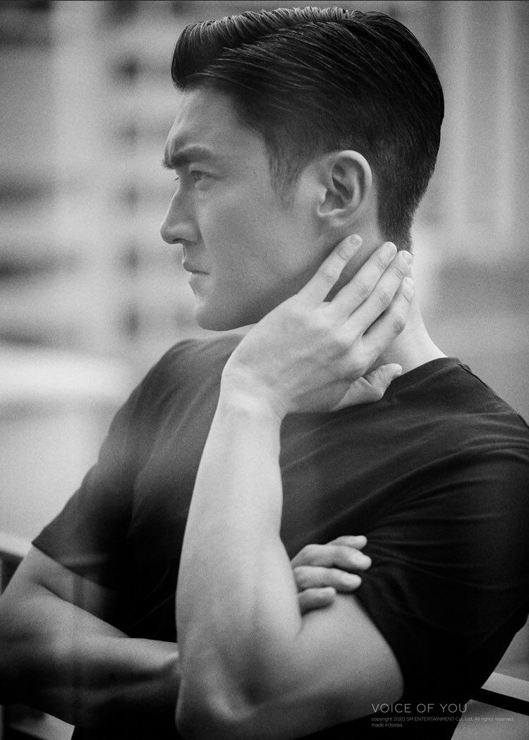 [THREAD] in admiration of choi siwon’s hands