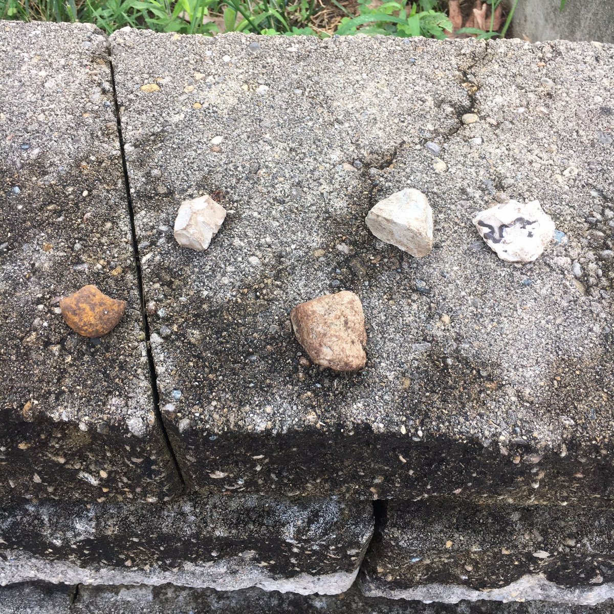 Bill Kline tweet media