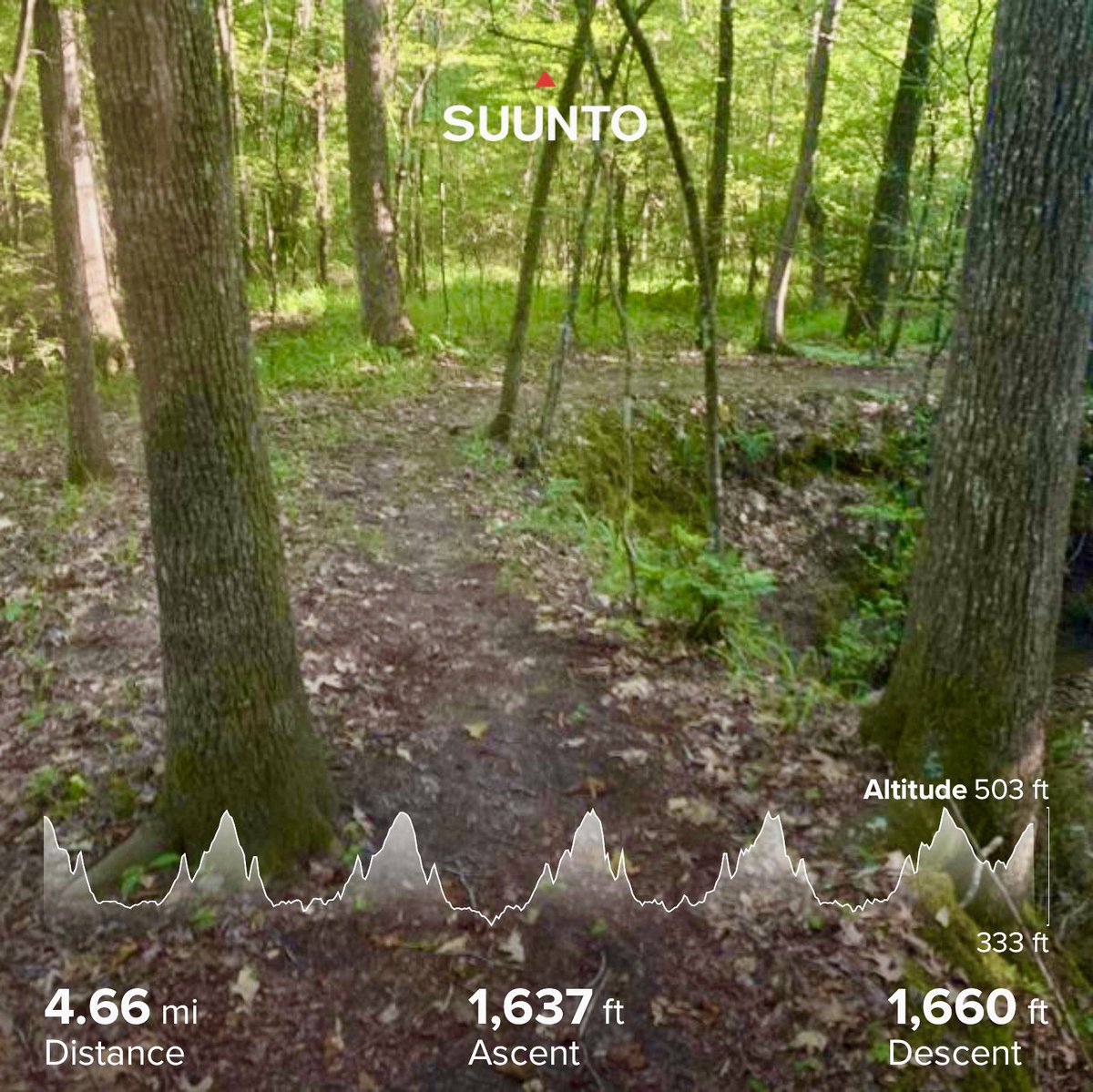 socialshark's tweet photo. Double run Wednesday #elevationrun #tiredrag #runchat #ultrachat #GVRAT1000k #BFC https://t.co/eRu49A0lFH