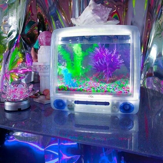 WHATS THIS AESTHETIC CALLED?? and where can i get some of these..... im the biggest sucker for fake fish/aquarium things