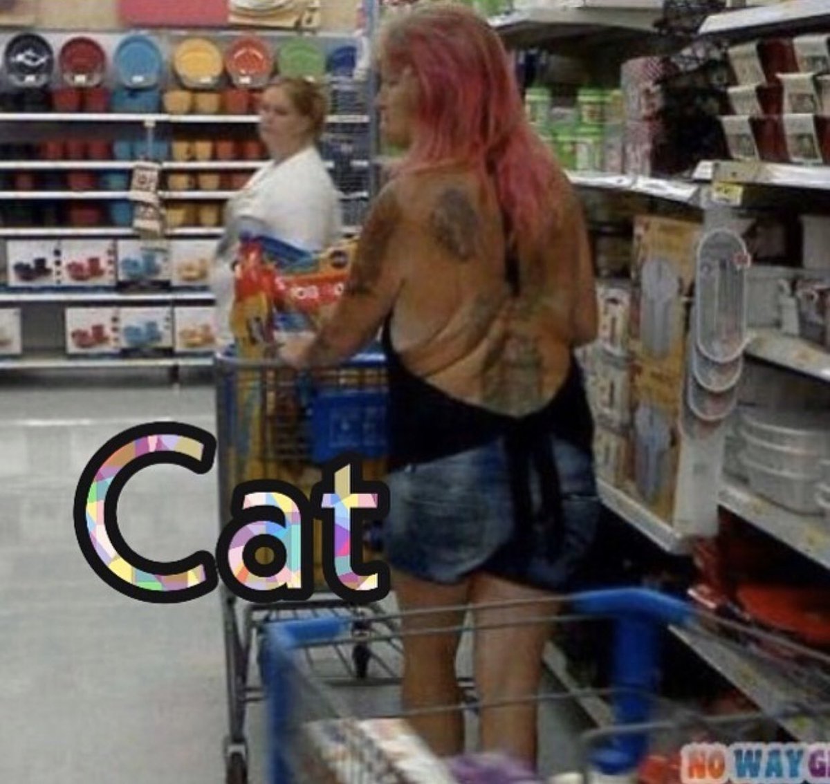 CatKron's tweet photo. All these “which celebrity”memes and the only Cat is “https://t.co/mqFdSc2tzN.shopper” are you. https://t.co/EnccauNksZ