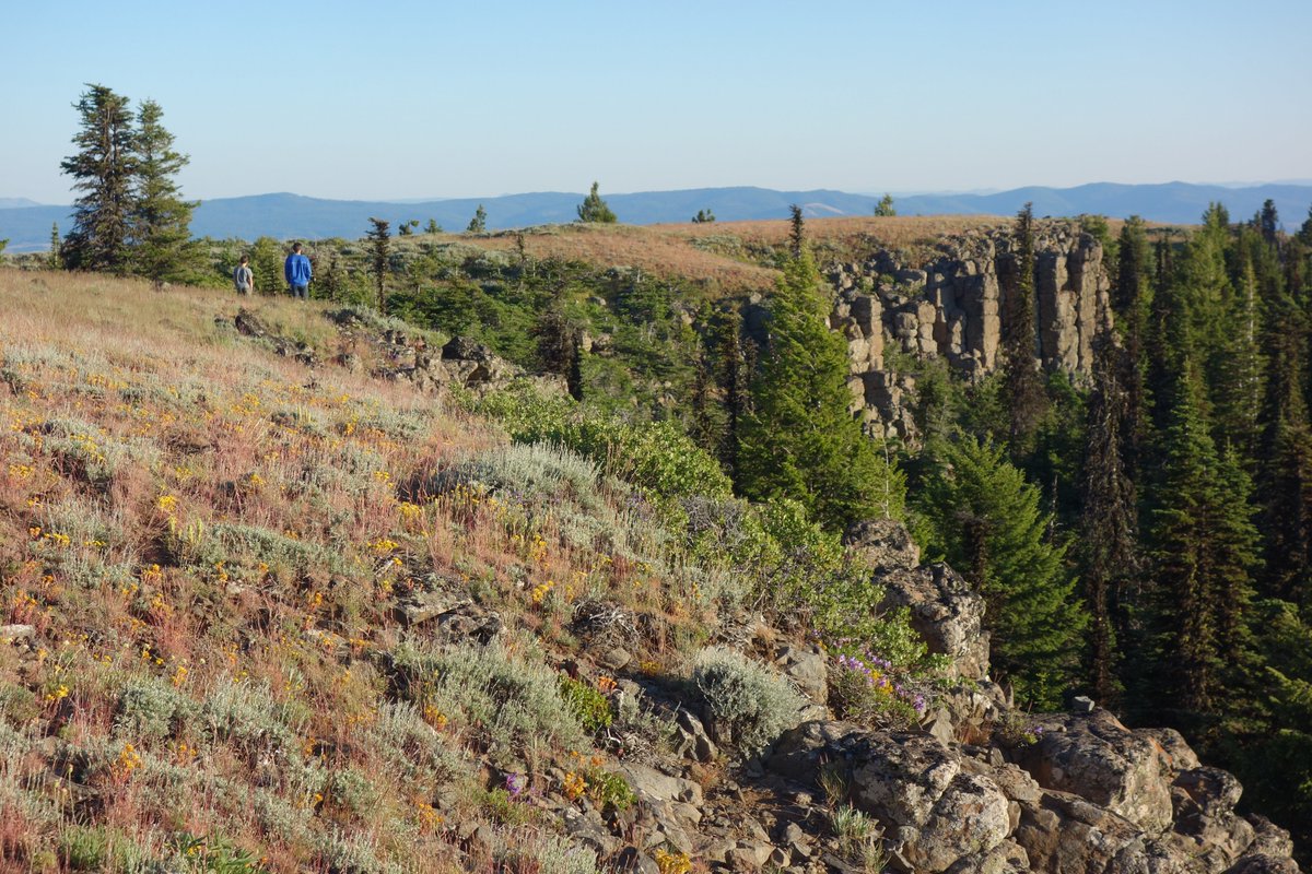 TheFirst40Miles's tweet photo. #Ochocos day 1 started with exploring the Motherlode Mine (an old mercury mine), then a gentle climb through the forest to the wildflower-covered meadows on top of Lookout Peak, the highest peak in the Ochoco Mountains at about 7,000 ft. https://t.co/DDizUfsmGo