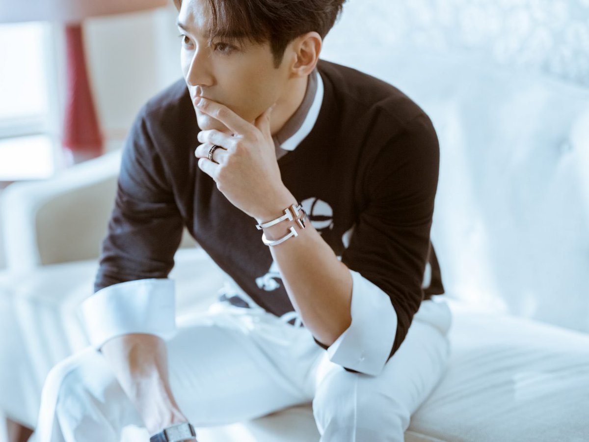[THREAD] in admiration of choi siwon’s hands