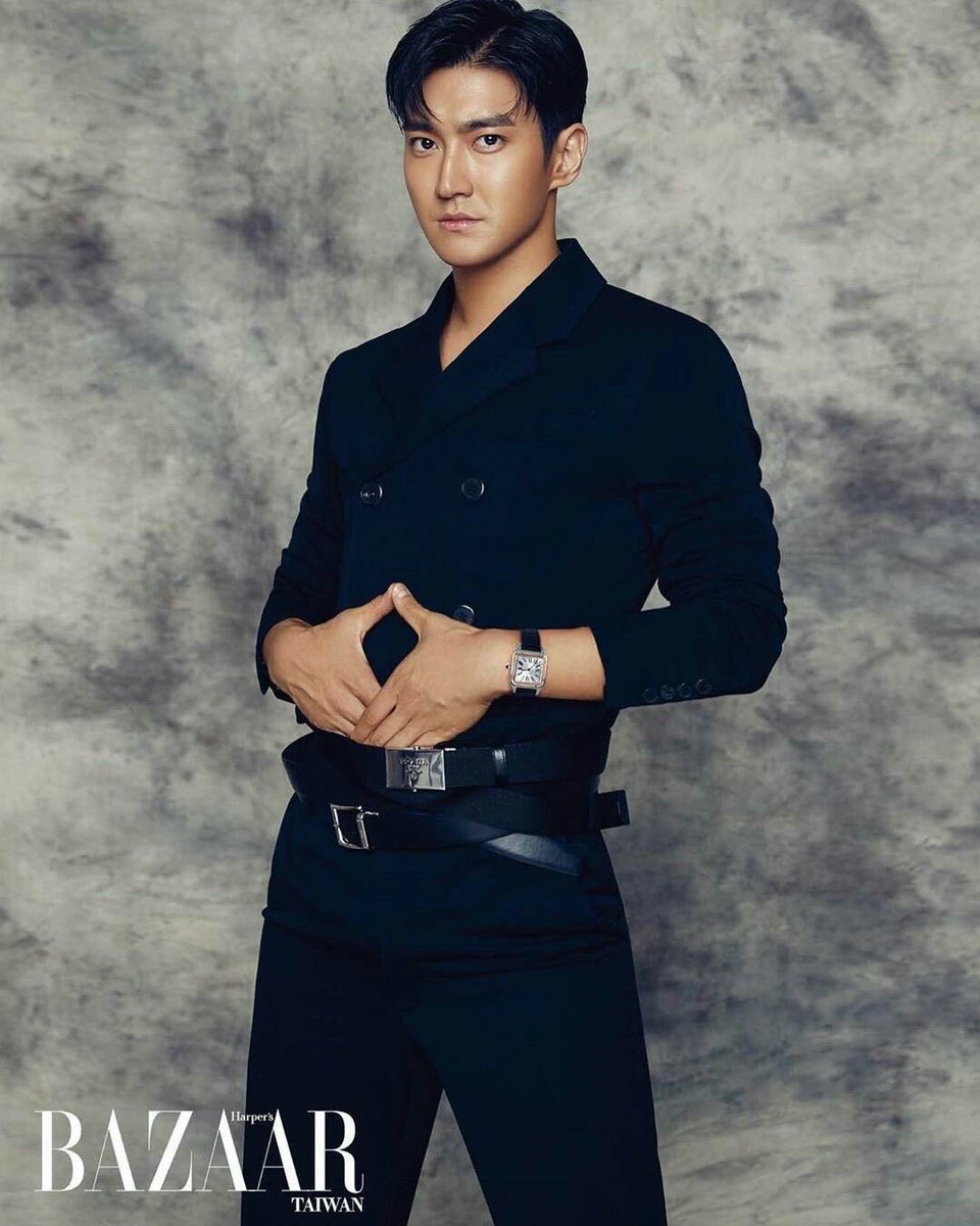 [THREAD] in admiration of choi siwon’s hands