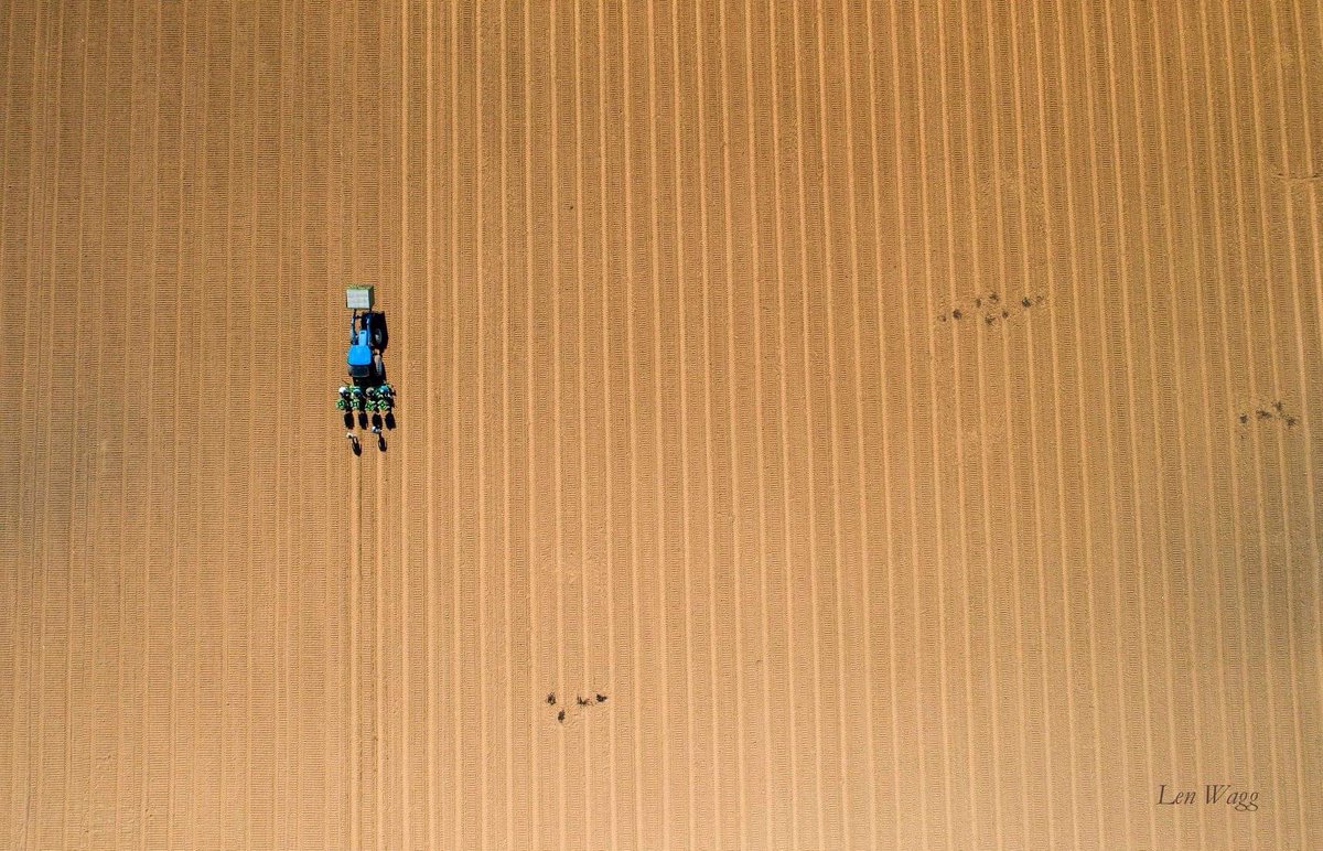 Len_Wagg_photo's tweet photo. Farmers, outstanding in their field, Medford, Nova Scotia. #farm #farming #rural #aerial #tractor #annapolis #annapolisvalley #farming #novascotia #visitnovascotia #explorecanada #drdrone #halifaxnouse #imagesofcanada https://t.co/bR6kZoCb5B